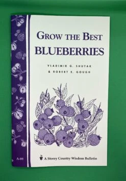 Grow The Best Blueberries