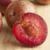 Combo Zee Sweet Pluot Tree (4 Varieties)
